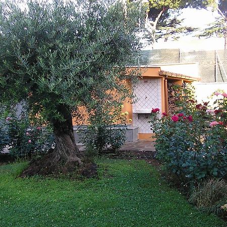 Al Vecchio Olivo Bed & Breakfast Frascati Exterior photo