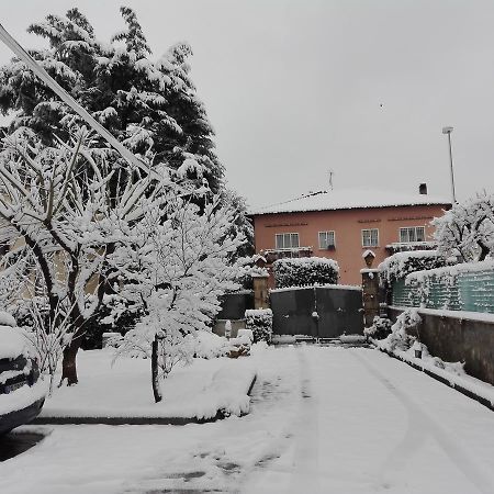 Al Vecchio Olivo Bed & Breakfast Frascati Exterior photo