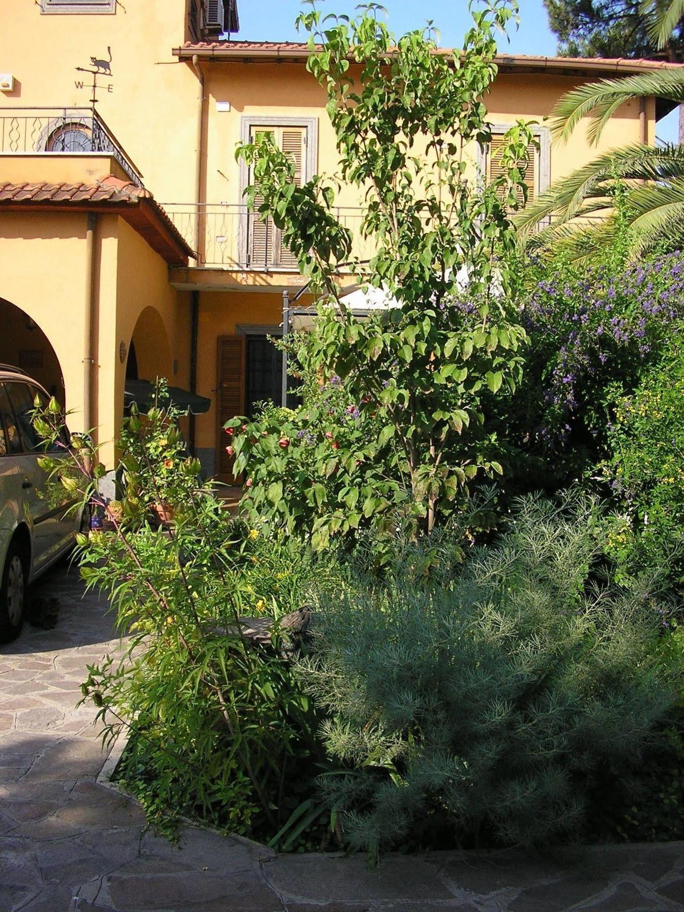 Al Vecchio Olivo Bed & Breakfast Frascati Exterior photo